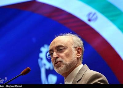 صالحی: انقلاب اسلامی تحولات عمیق جهانی در پی داشت