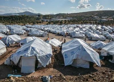 پناهندگان در یونان: حقوق حیوانات در اروپا از ما بیشتر است