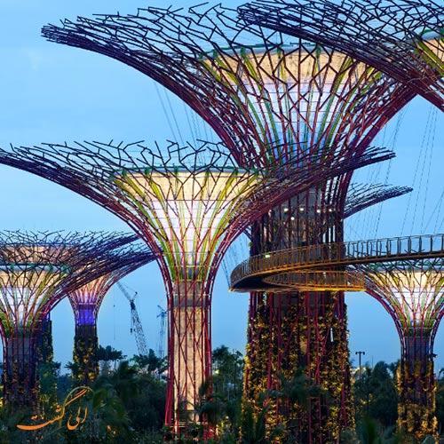 تور ارزان سنگاپور: درختان غول پیکر سنگاپور