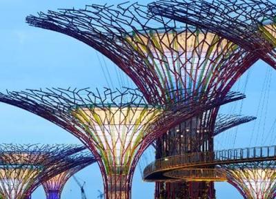 تور ارزان سنگاپور: درختان غول پیکر سنگاپور